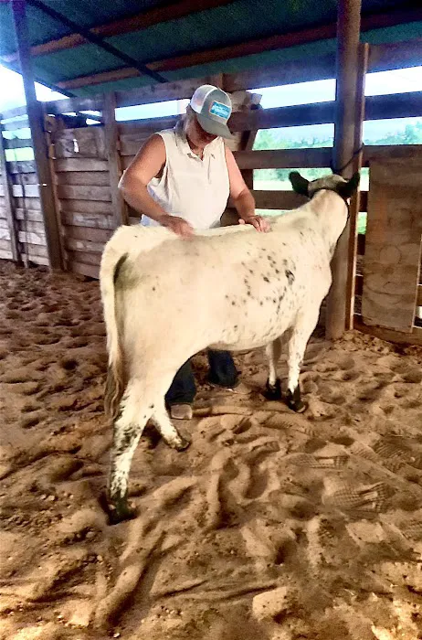 LS Veterinary Services PLLC Picture 1