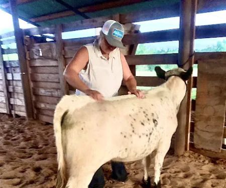 LS Veterinary Services PLLC