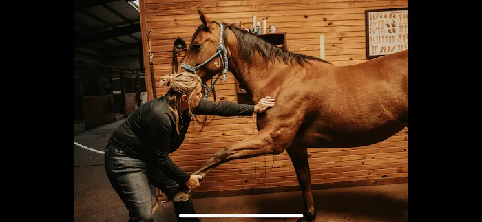 LS Veterinary Services PLLC Picture 3