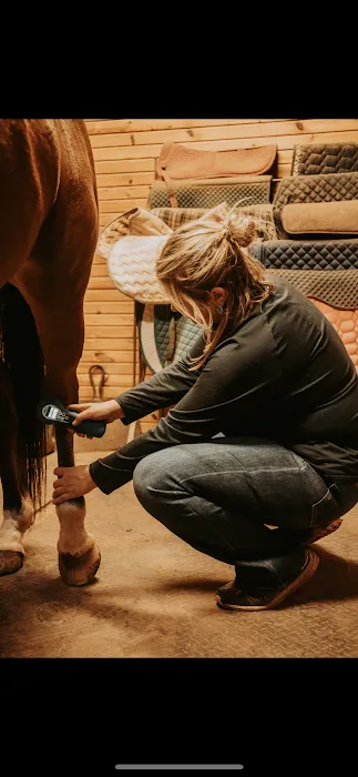 LS Veterinary Services PLLC Picture 7