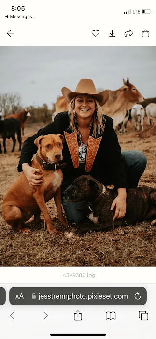 LS Veterinary Services PLLC Picture 9