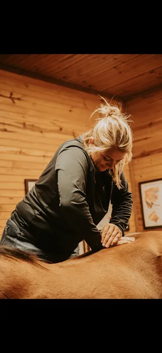 LS Veterinary Services PLLC Picture 10