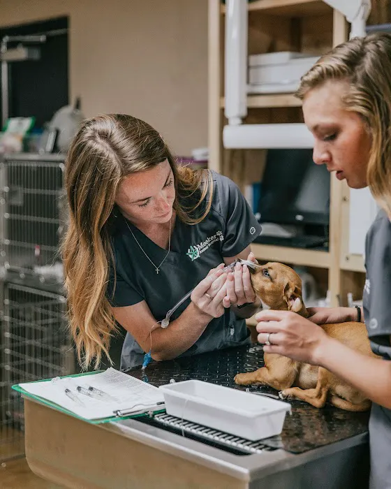 Meeker Animal Hospital Picture 4