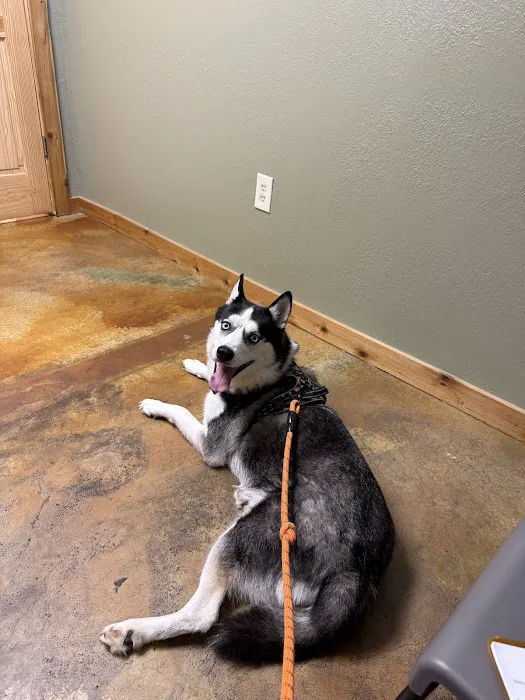 Meeker Animal Hospital Picture 3