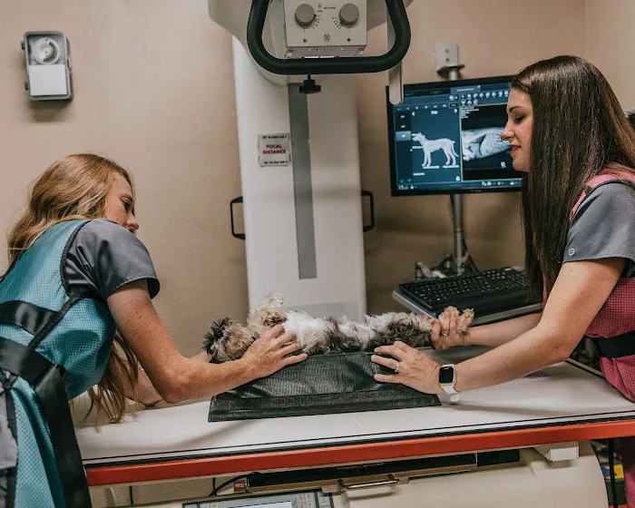 Meeker Animal Hospital Picture 5