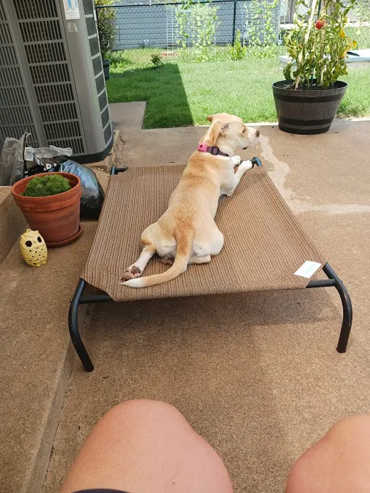 Meeker Animal Hospital Picture 2