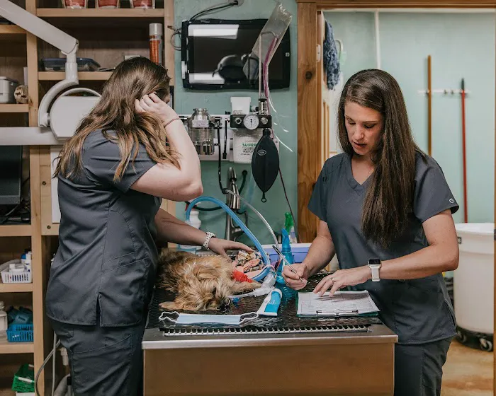 Meeker Animal Hospital Picture 9