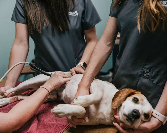 Meeker Animal Hospital Picture 7