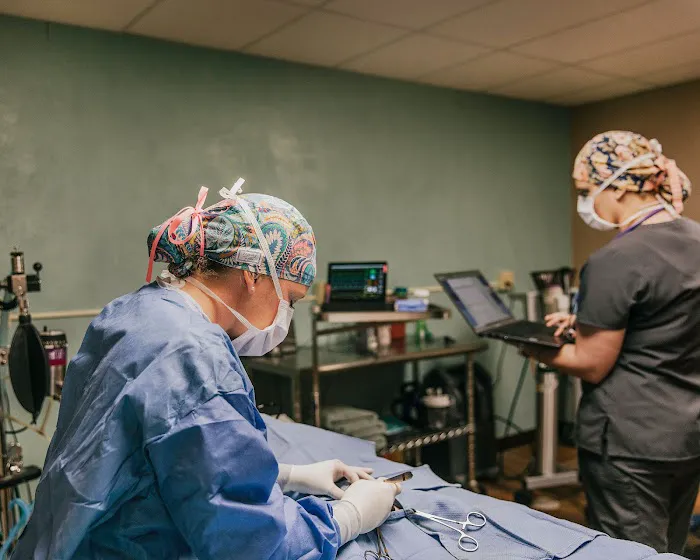 Meeker Animal Hospital Picture 6