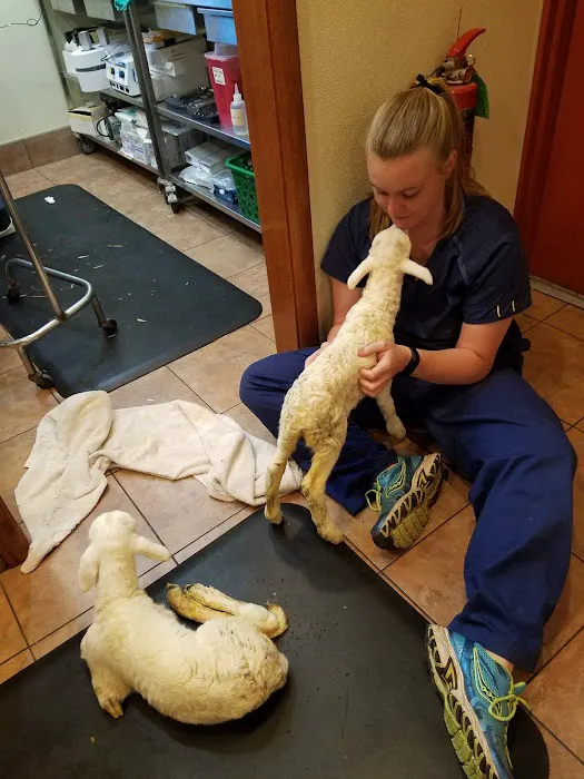 Perkins Veterinary Clinic Picture 1