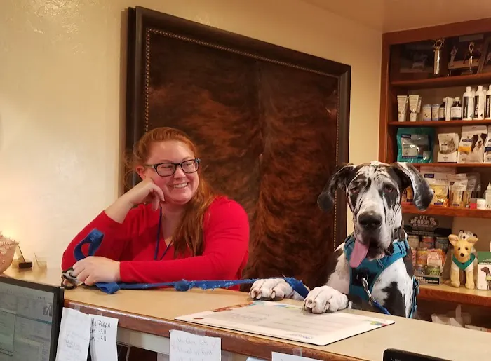 Perkins Veterinary Clinic Picture 6