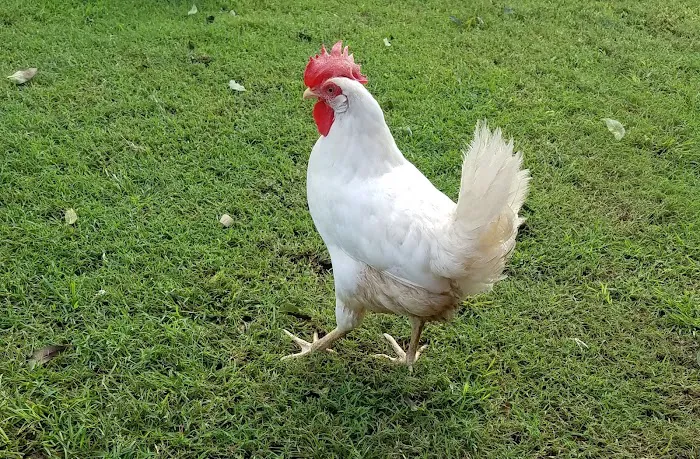 Perkins Veterinary Clinic Picture 7