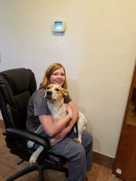 Perkins Veterinary Clinic Picture 5