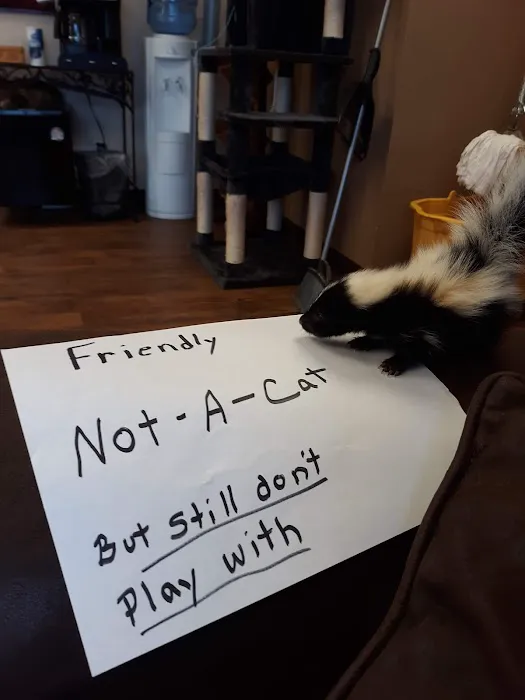 Benchmark Animal Hospital Picture 2