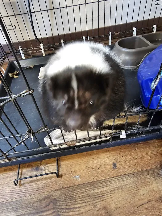 Benchmark Animal Hospital Picture 4