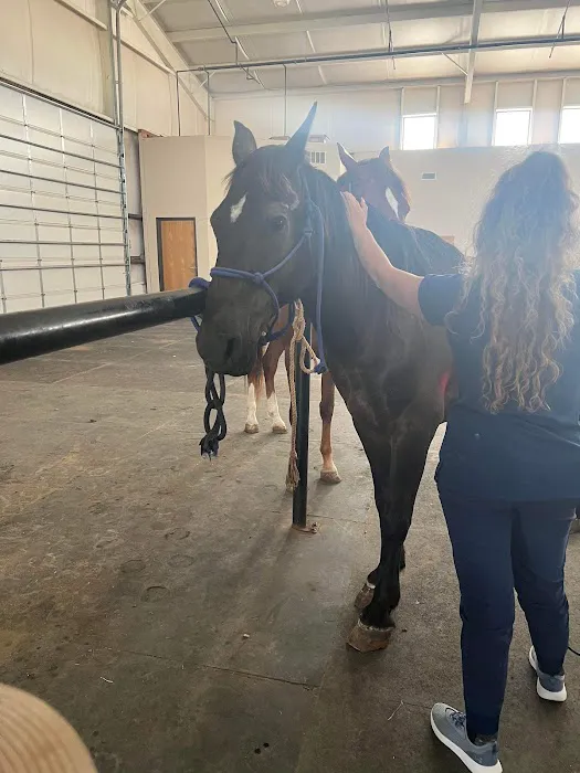 Benchmark Animal Hospital Picture 1