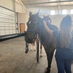 Benchmark Animal Hospital