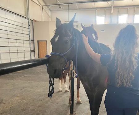 Benchmark Animal Hospital