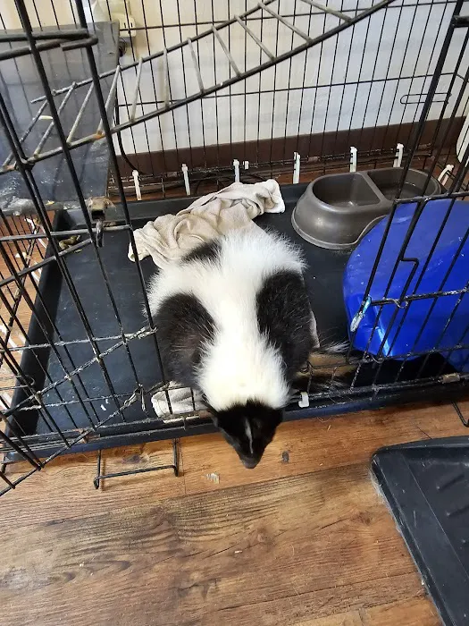 Benchmark Animal Hospital Picture 6