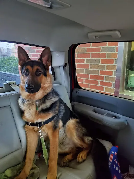 Perkins Road Pet Clinic Picture 2