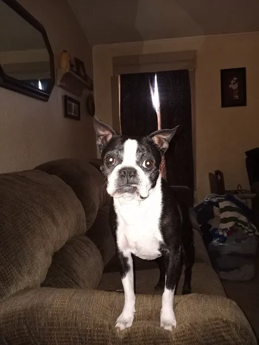 Perkins Road Pet Clinic Picture 1