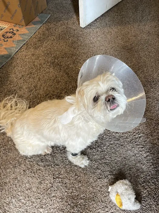 Perkins Road Pet Clinic Picture 6