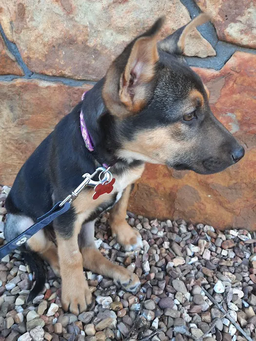 Perkins Road Pet Clinic Picture 8