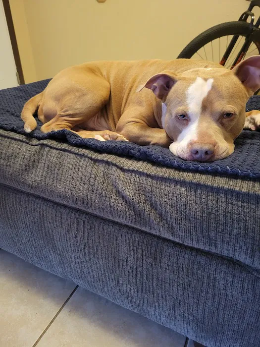 Vetco Total Care Animal Hospital Picture 2