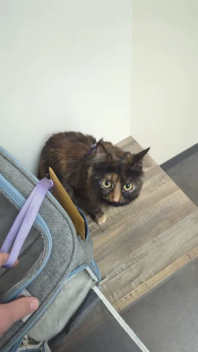 Vetco Total Care Animal Hospital Picture 1