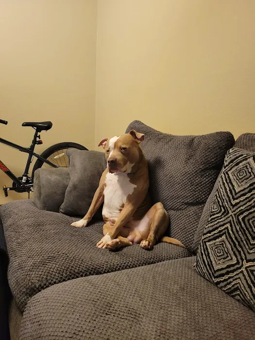 Vetco Total Care Animal Hospital Picture 3