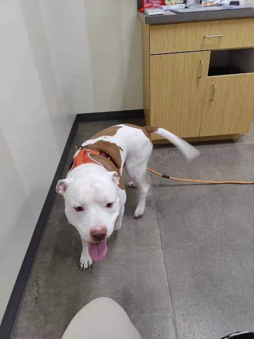 Vetco Total Care Animal Hospital Picture 5