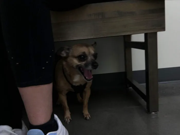 Vetco Total Care Animal Hospital Picture 7