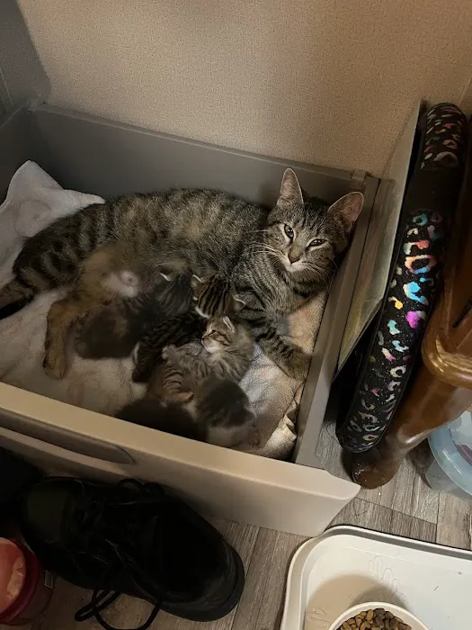 Vetco Total Care Animal Hospital Picture 4