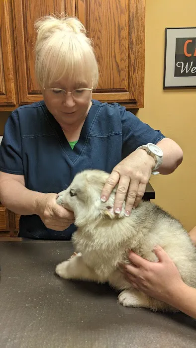 All Pets Veterinary Hospital Picture 1