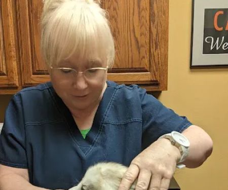 All Pets Veterinary Hospital