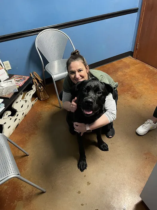 All Pets Veterinary Hospital Picture 7