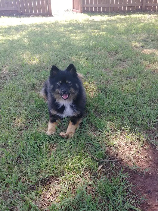 All Pets Veterinary Hospital Picture 10