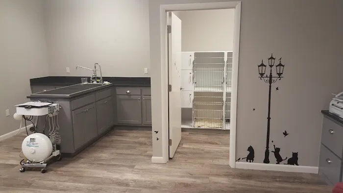 Trinity Veterinary Hospital Picture 2