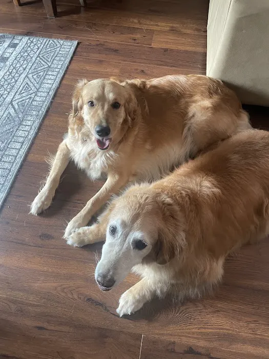 Trinity Veterinary Hospital Picture 5