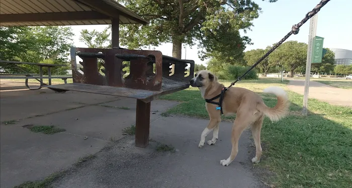 Trinity Veterinary Hospital Picture 8