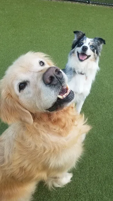 Trinity Veterinary Hospital Picture 9