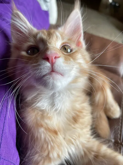 Trinity Veterinary Hospital Picture 10