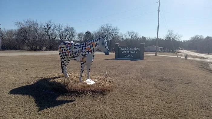 Town & Country Veterinary Clinic Picture 2