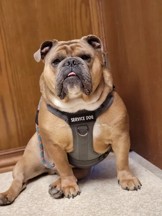 Town & Country Veterinary Clinic Picture 1