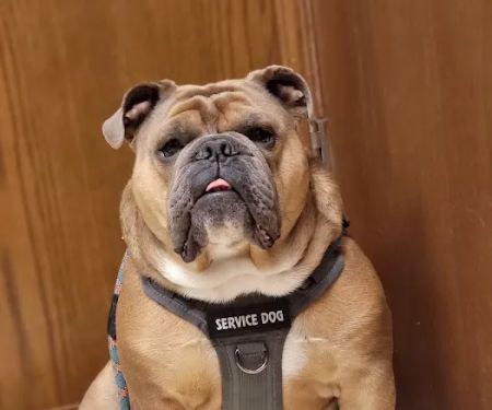 Town & Country Veterinary Clinic