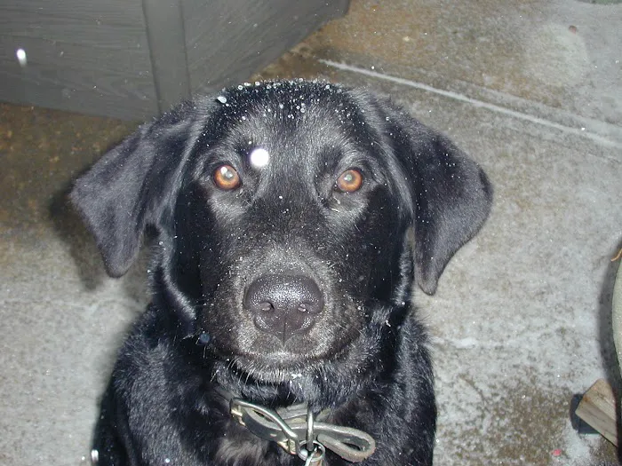 Seminole Veterinary Hospital Picture 1