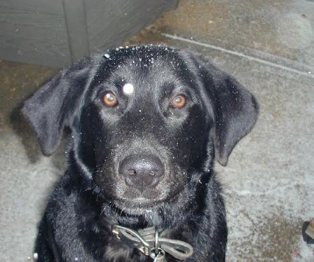 Seminole Veterinary Hospital