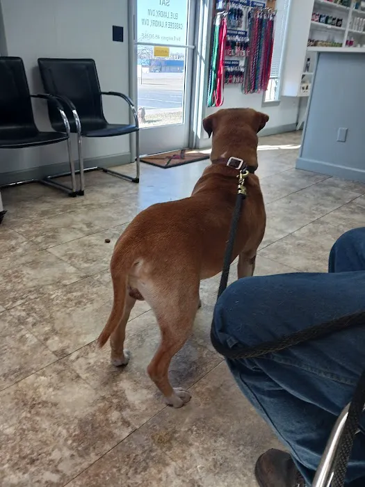 Seminole Veterinary Hospital Picture 6