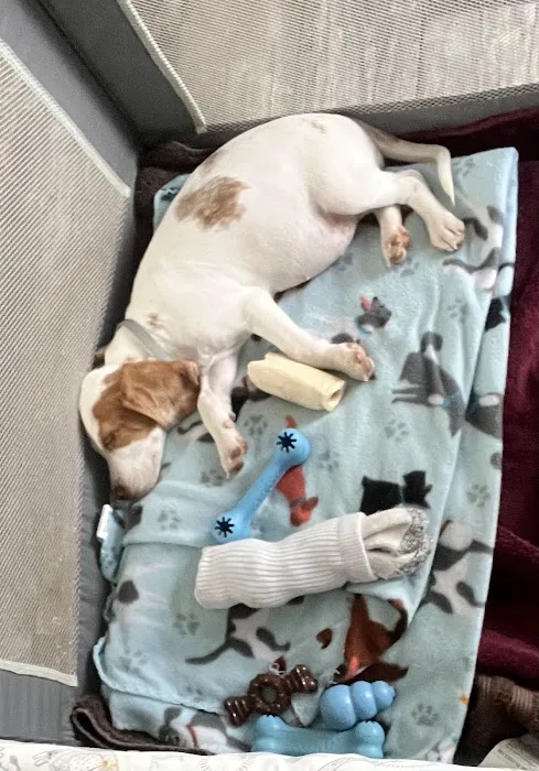 Seminole Veterinary Hospital Picture 4