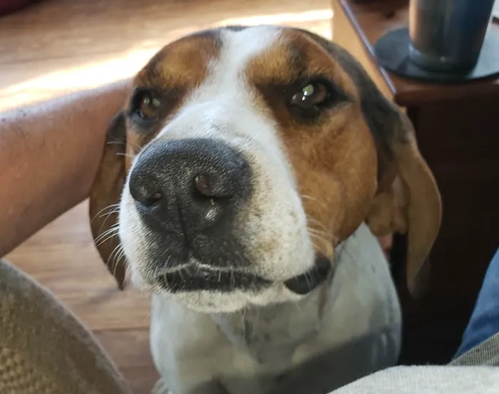 Seminole Veterinary Hospital Picture 5